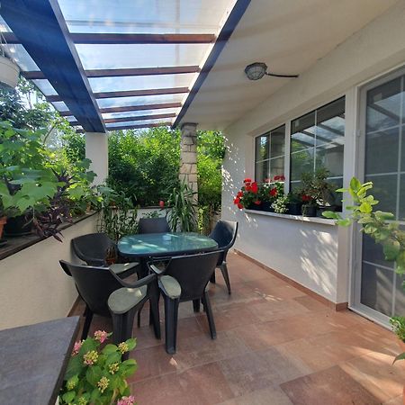 Andrea Apartman Сфынту-Георге Экстерьер фото