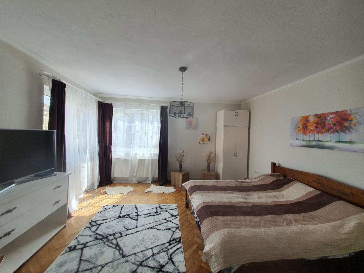 Andrea Apartman Сфынту-Георге Экстерьер фото