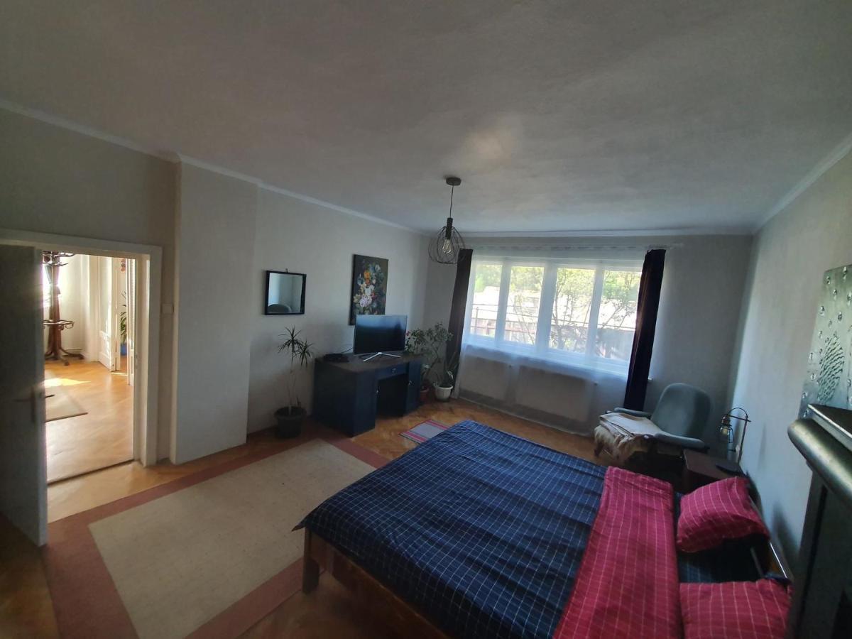 Andrea Apartman Сфынту-Георге Экстерьер фото