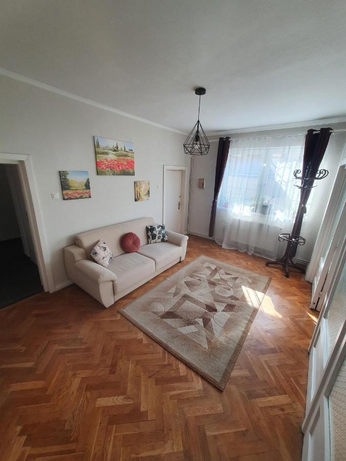Andrea Apartman Сфынту-Георге Экстерьер фото